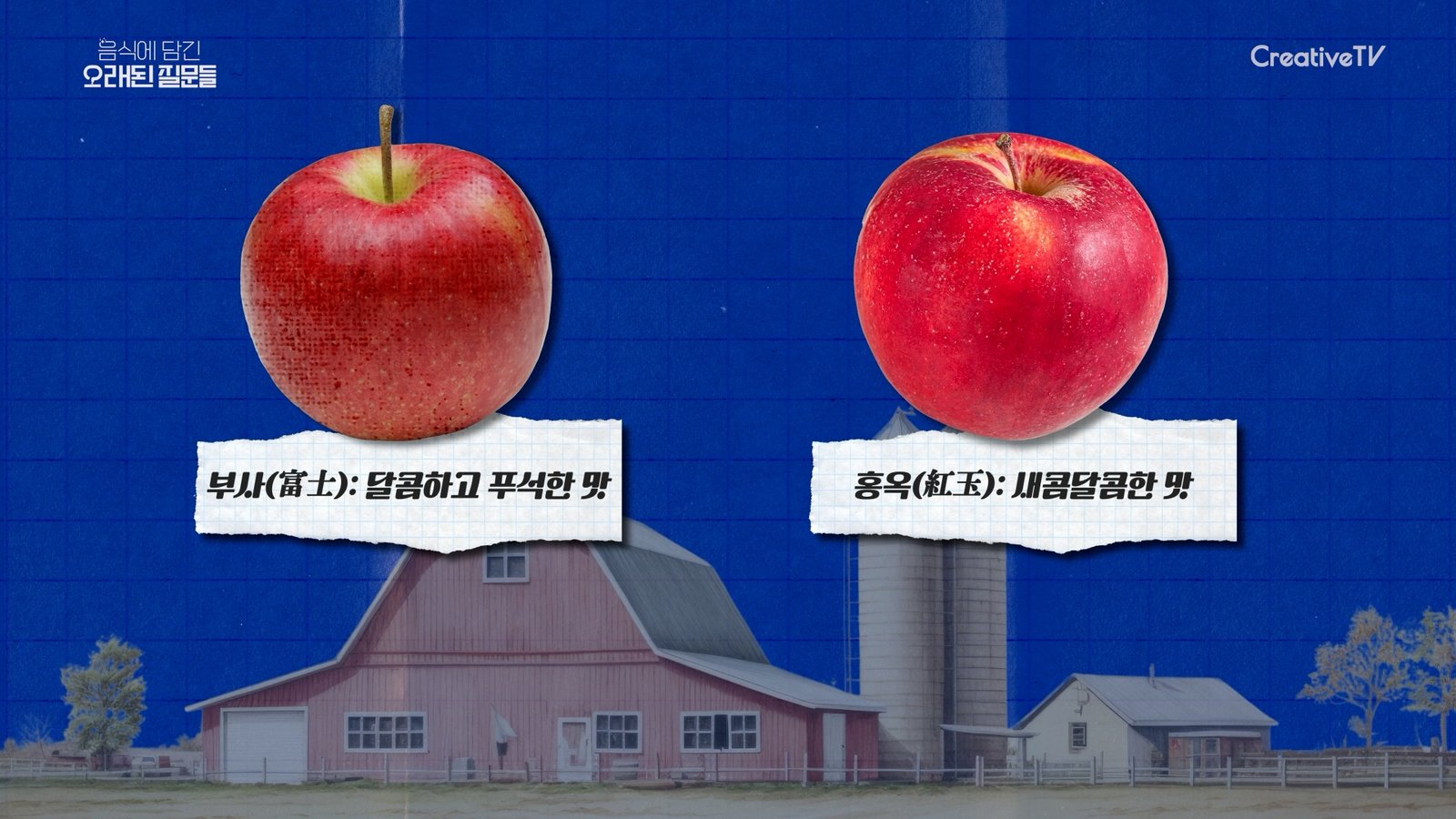 이미지 2